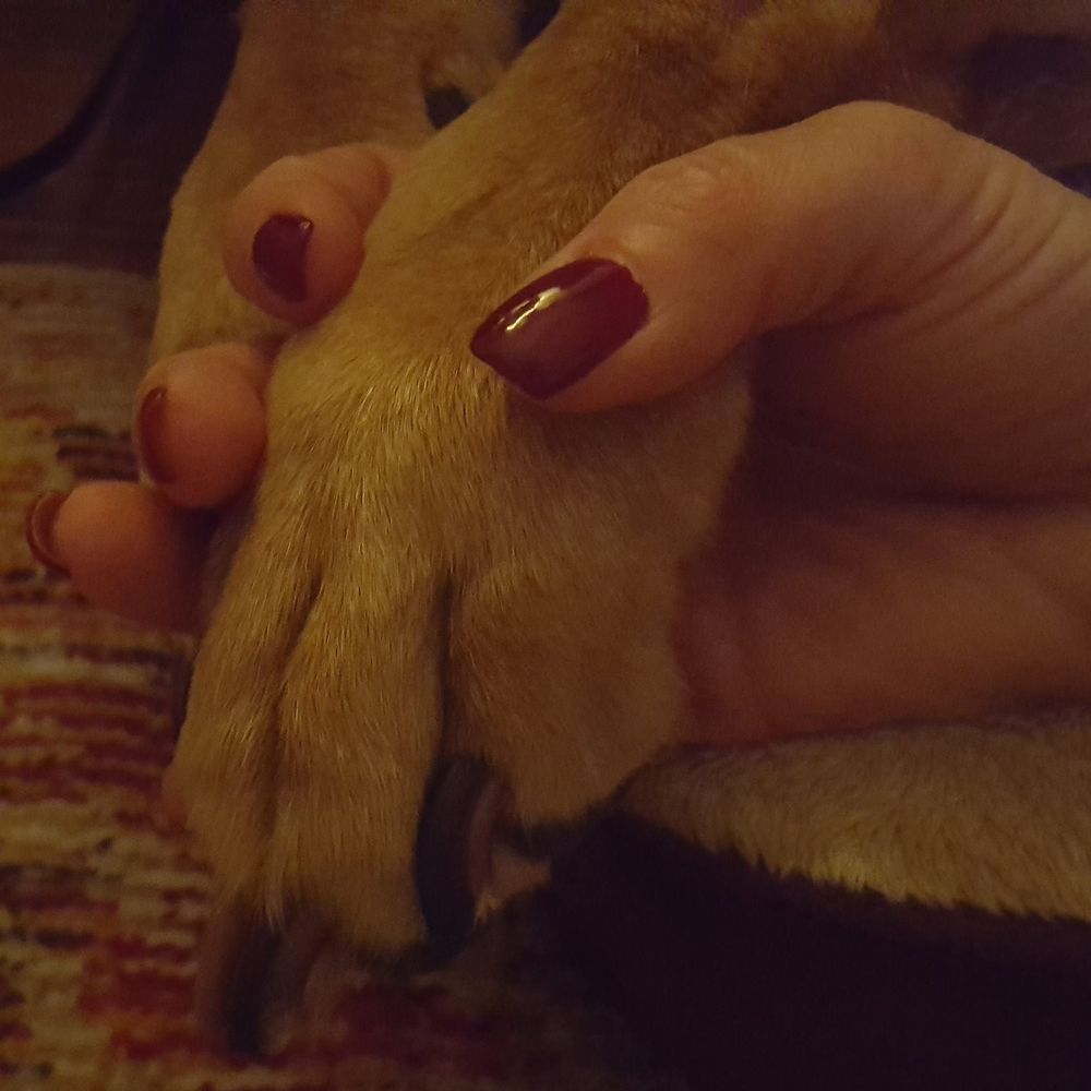 Meet your Posher, Sandi